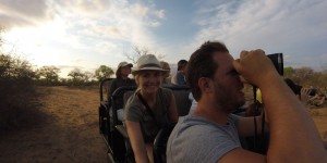 Beitragsbild des Blogbeitrags Südafrika: Von Johannesburg zum Krüger Nationalpark 
