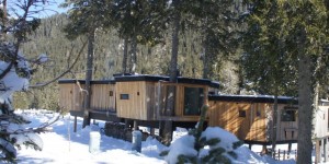 Beitragsbild des Blogbeitrags Meine Nacht im Baumhaus