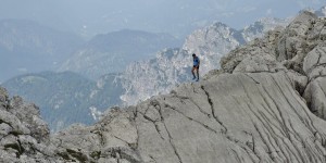 Beitragsbild des Blogbeitrags Kein Kamm zum Hetzen