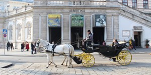 Beitragsbild des Blogbeitrags When in Vienna…