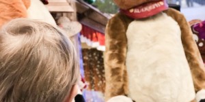 Beitragsbild des Blogbeitrags #christmaskickoff – Wenn die SCS Vösendorf im weihnachtlichen Licht erglänzt
