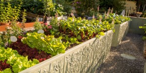 Beitragsbild des Blogbeitrags Neue Hochbeete im Aquilea-Garten