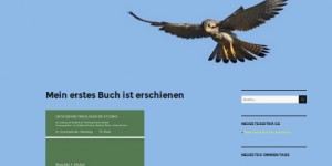 Beitragsbild des Blogbeitrags Mein Kirchenblog startet