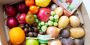 Beitragsbild des Blogbeitrags Meine Lieblinge im Januar: Obst und Gemüse satt (Werbung)