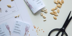 Beitragsbild des Blogbeitrags Gemüse Samen sammeln und trocknen | Samensäckchen printable