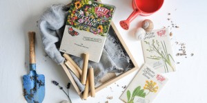 Beitragsbild des Blogbeitrags DIY Bienenhotel | mehr Bienen mit der Nützlingsweide von JA! Natürlich