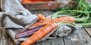 Beitragsbild des Blogbeitrags Wintergemüse neu entdecken | meine Gemüsepatenschaft für die KAROTTE mit Ja! Natürlich