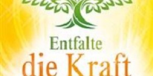 Beitragsbild des Blogbeitrags „Entfalte die Kraft deines Seelenplans“ D. Rydall, Trinity Verlag