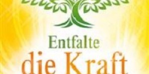 Beitragsbild des Blogbeitrags „Entfalte die Kraft deines Seelenplans“ D. Rydall, Trinity Verlag 