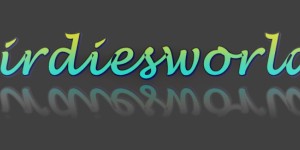 Beitragsbild des Blogbeitrags Mein Jahresrückblick aus Birdiesworld für euch