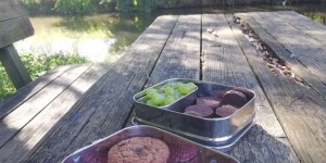 Beitragsbild des Blogbeitrags Jausenbox und Kuchenrezept