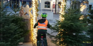 Beitragsbild des Blogbeitrags Geh durch das Tor des Friedens,