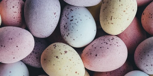 Beitragsbild des Blogbeitrags Faule Eier