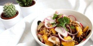 Beitragsbild des Blogbeitrags Linsen-Mango Salat