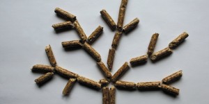 Beitragsbild des Blogbeitrags Wie funktioniert eine Pelletheizung? 
