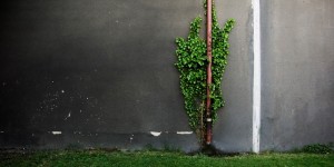 Beitragsbild des Blogbeitrags Was ist Heizwasser? (4) – Was in Heizwasser an Bakterien & Co. lebt