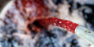 Beitragsbild des Blogbeitrags Brennstoff-Check (1): Was ist Heizöl?