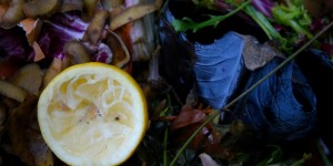 Beitragsbild des Blogbeitrags Brennstoff-Check (3): Was ist Biogas?