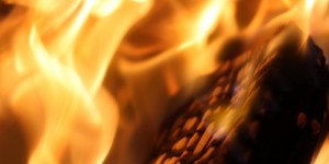 Beitragsbild des Blogbeitrags Brennstoff-Check (4): Was ist Scheitholz?