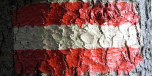 Beitragsbild des Blogbeitrags Erneuerbare in Österreich – Marktübersicht, Zahlen, Fakten