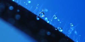 Beitragsbild des Blogbeitrags Der Mensch als Heizung – so heizt du dir selbst ein!