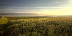 Beitragsbild des Blogbeitrags Österreich: Solarthermie-Förderung 2019 (1) – die Förderprogramme