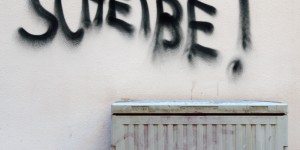 Beitragsbild des Blogbeitrags Brennstoff-Check (10): Heizen mit Fäkalien – wie geht das?