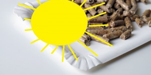 Beitragsbild des Blogbeitrags Liste unserer besten Projekte des Monats: Pellets plus Solar