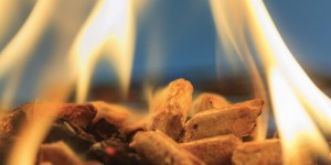 Beitragsbild des Blogbeitrags Kurz vorgestellt: Aktion holz+pellets der EnergieAgentur.NRW