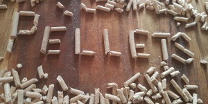 Beitragsbild des Blogbeitrags Lesetipp: Neue Broschüre zum Heizen mit Pellets