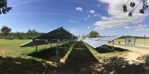 Beitragsbild des Blogbeitrags Erneuerbare Energie: Branche geht in die Solaroffensive 
