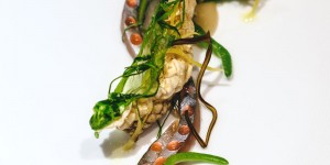 Beitragsbild des Blogbeitrags Japanese Fine Dining at Shiki Vienna