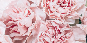Beitragsbild des Blogbeitrags Oster-Wishlist 