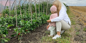 Beitragsbild des Blogbeitrags Sommer Genusstour 2023 im Weinviertel