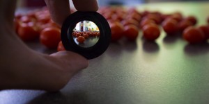 Beitragsbild des Blogbeitrags Sony Alpha 6000/7 Firmware 3.10