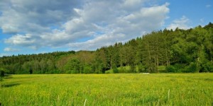 Beitragsbild des Blogbeitrags Entspannung pur