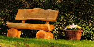 Beitragsbild des Blogbeitrags Stadtpflanze trifft Landleben
