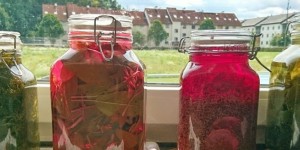 Beitragsbild des Blogbeitrags Kräutersirup selbst gemacht 