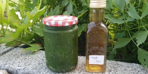 Beitragsbild des Blogbeitrags Liebstöckel – meine Rezept Favoriten