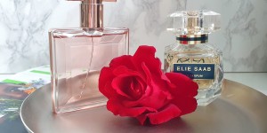 Beitragsbild des Blogbeitrags Die Rose in der Parfum Welt 