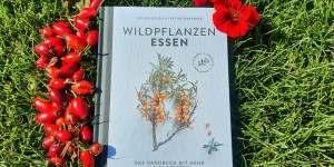 Beitragsbild des Blogbeitrags Buchtipp – Wildpflanzen Essen