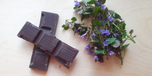 Beitragsbild des Blogbeitrags Wildes „Wiesen After Eight“