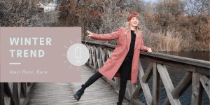 Beitragsbild des Blogbeitrags Der Winter ruft 
