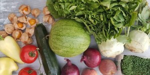 Beitragsbild des Blogbeitrags Neue Woche – neues BIO PACKERL! + gebackene Gemüsescheiben