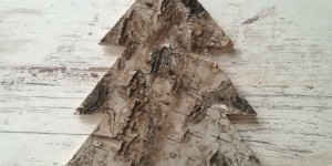 Beitragsbild des Blogbeitrags Ein Weihnachtsmenü im Zeichen des Kaffee’s 