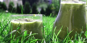 Beitragsbild des Blogbeitrags Gesund vegan ernähren #TalkingTuesday