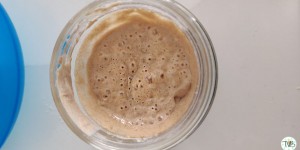 Beitragsbild des Blogbeitrags Sauerteig Starter ansetzen