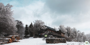 Beitragsbild des Blogbeitrags Kieneck – Enzianhütte – Gutensteiner Alpen (NÖ) [1107m] 