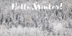 Beitragsbild des Blogbeitrags Hello, Winter! 
