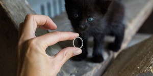 Beitragsbild des Blogbeitrags Wie man das Goldschmieden lernt